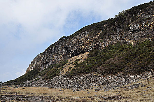 高山草甸