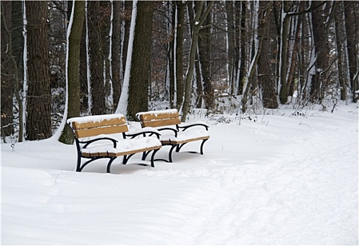 长木凳,冬季
