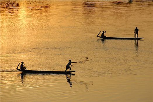 日落,捕鱼者,船,投掷,网,湄公河,老挝