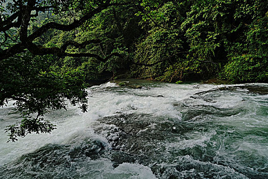 荔波急流河水