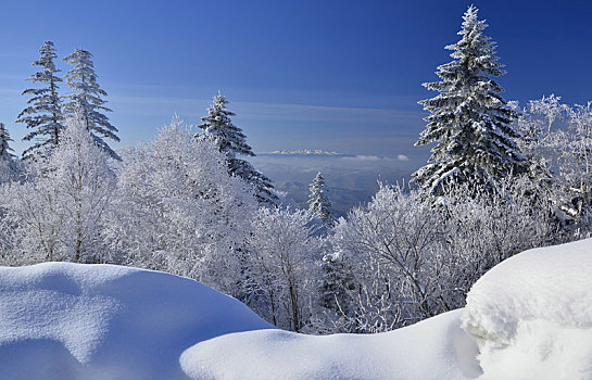 老里克湖冬季,林海雪原