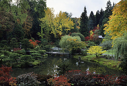 美国,华盛顿,西雅图,树园,日式庭园,秋天