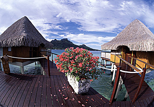海滩,酒店,波拉岛,法属玻利尼西亚