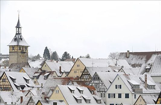 雪,屋顶,门楼,历史,中心,内卡河,巴登符腾堡,德国