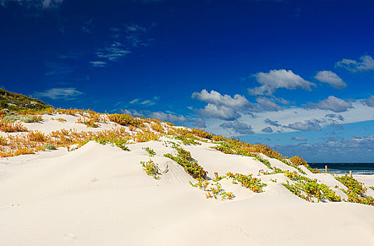 沙丘,海滩