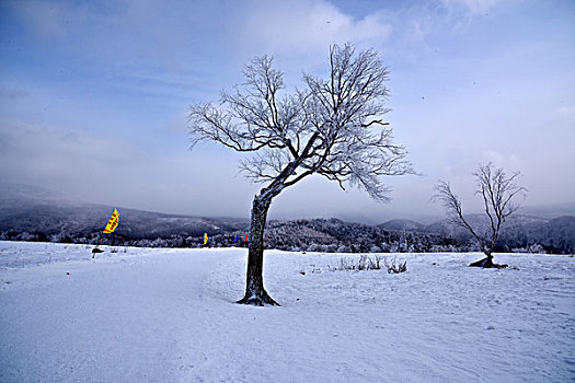 中国雪乡,羊草山