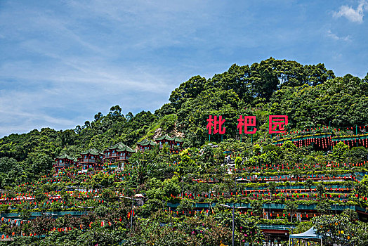 2021年重庆市南岸区南山重庆最大的火锅园----枇杷园