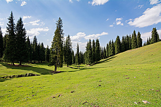 鹿角湾美景