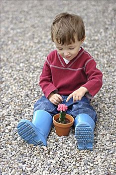 小男孩,坐,仙人掌,植物
