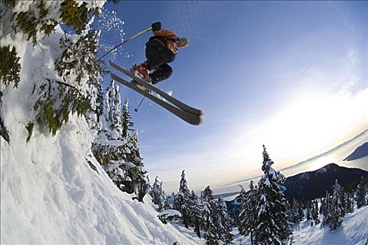 男人,滑雪,柏树,山,温哥华,不列颠哥伦比亚省,加拿大