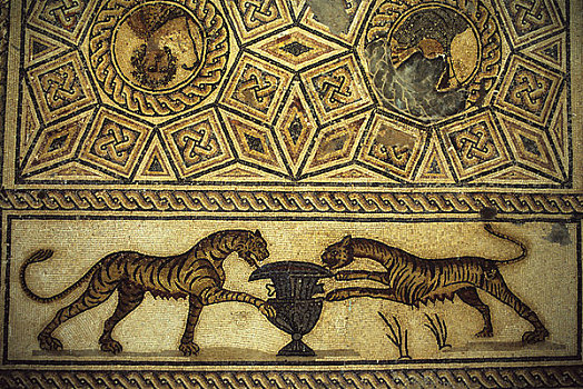 利比亚,靠近,博物馆,罗马,镶嵌图案,虎