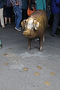 在派克市场入口处大大的招牌底下有一只金色等身大的铜猪,rachel,是当初募集派克市场整建经费的基金会所留下来的纪念物