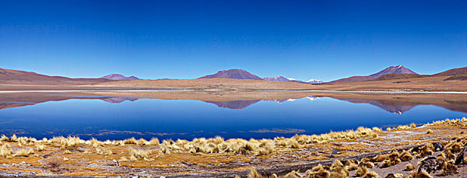 泻湖,国家公园,玻利维亚,南美,北美