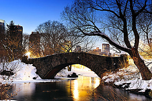 纽约,中央公园,桥,冬天