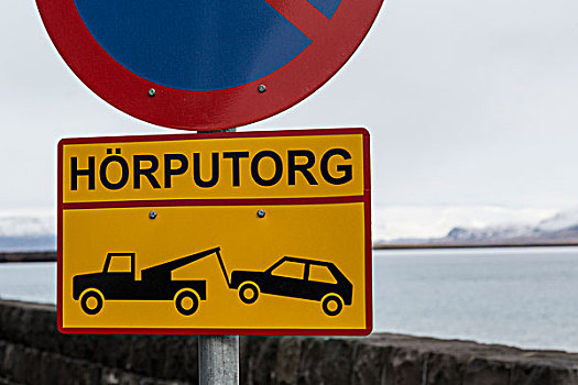 冰岛,雷克雅未克,标识,年轻,画廊
