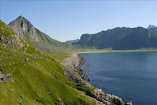 陡峭,海岸线,湾,靠近,罗弗敦群岛,挪威