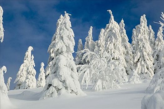 冬季风景,山,国家公园,上奥地利州,奥地利,欧洲