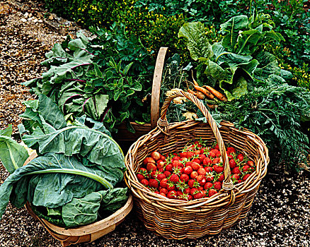 篮子,收获,草莓,花椰菜,胡萝卜,药草,菜园