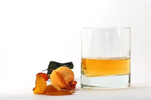 威士忌,玫瑰,白色