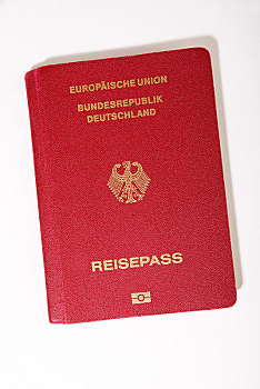 生物测量,护照,联邦德国,欧盟,德国,欧洲