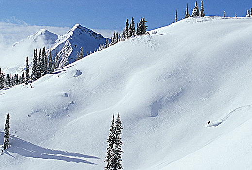 男青年,边远地区,滑雪,山峦,不列颠哥伦比亚省,加拿大