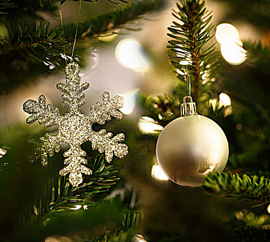 装饰,圣诞树,特写