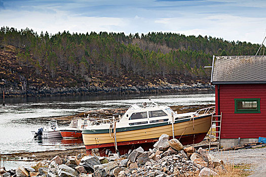 小,摩托艇,站立,海岸,挪威