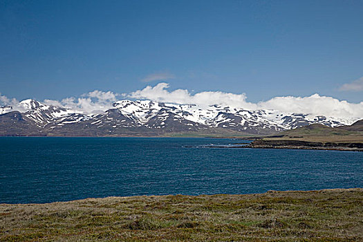 雪山,湾,北方,半岛,冰岛,欧洲