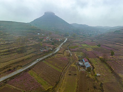 山东蒙阴岱崮地貌桃花盛开