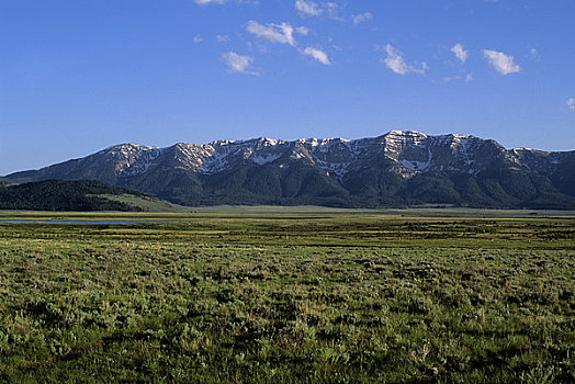美国,蒙大拿,红岩,湖,国家野生动植物保护区,背景
