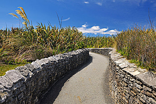 小路,薄烤饼,石头,西海岸,南岛,新西兰