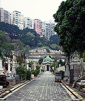 雾,早晨,老,香港,墓地