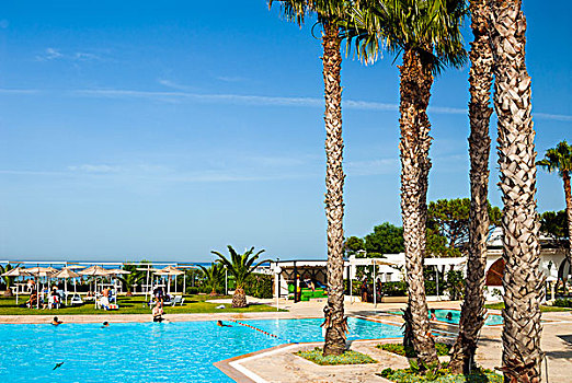 游泳池,海滩度假,乡村,突尼斯,北非
