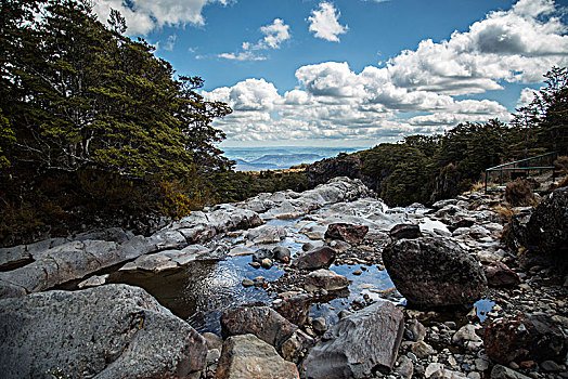 新西兰,东加里罗国家公园,秋天,石头