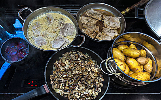 不同,肉,蘑菇,土豆,甜菜根,烹调,炉子
