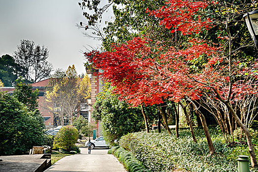 杭州浙江大学之江校园