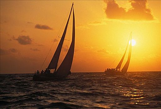 夏威夷,两个,帆船,剪影,日落,天空