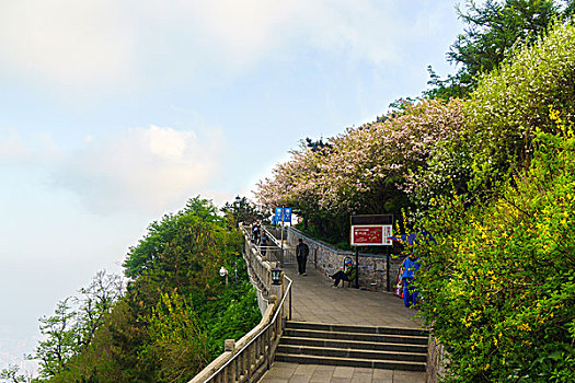 泰山风光