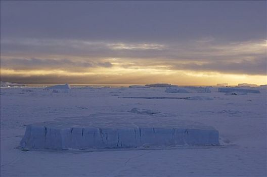 冰原,日落,南极
