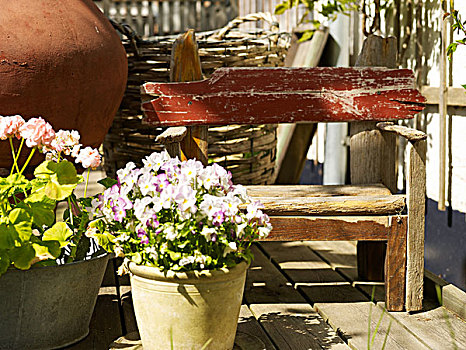 花,盆栽,乡村,园凳