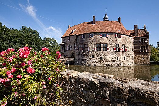 城堡,玫瑰,护城河,明斯特地区,北莱茵威斯特伐利亚,德国,欧洲