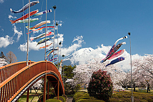日本,鲤帜,孩子,节日,富士山