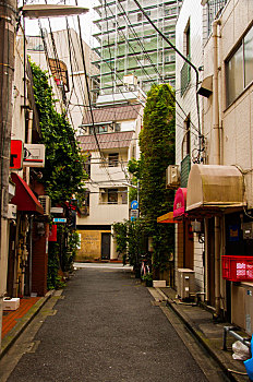 日本东京,新宿的街道巷弄,颜色缤纷