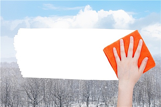 手,雪,上方,树林,橙色,抹布