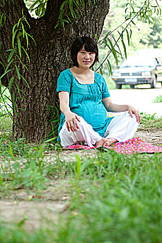 在树下练习瑜伽的孕妇