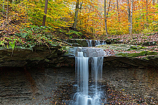 蓝色,母鸡,瀑布,秋天,国家公园,俄亥俄,美国