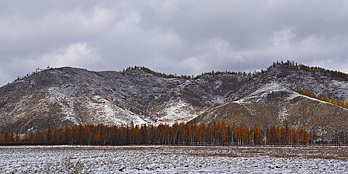 阿尔山雪景