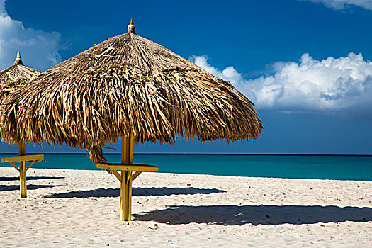 草,伞,白色,沙滩,鹰,海滩,阿鲁巴,西印度群岛