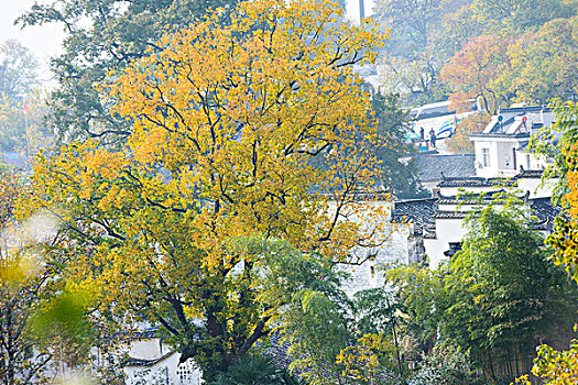 塔川秋景