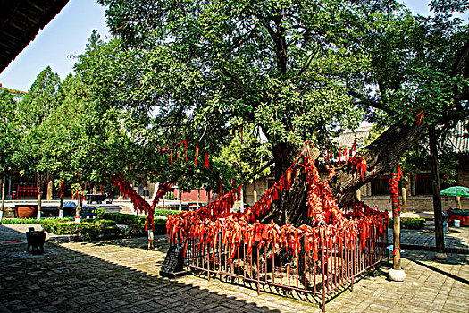 山西平遥双林寺